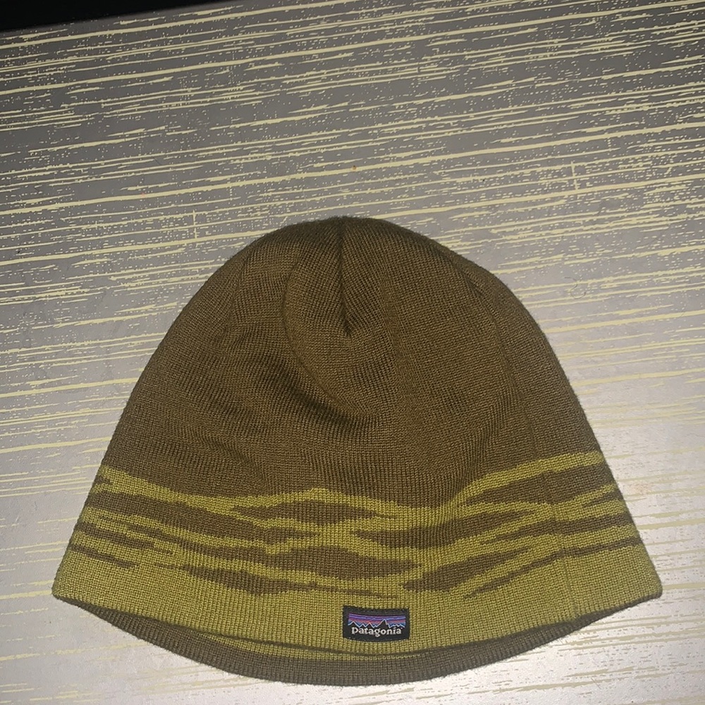Patagonia green beanie